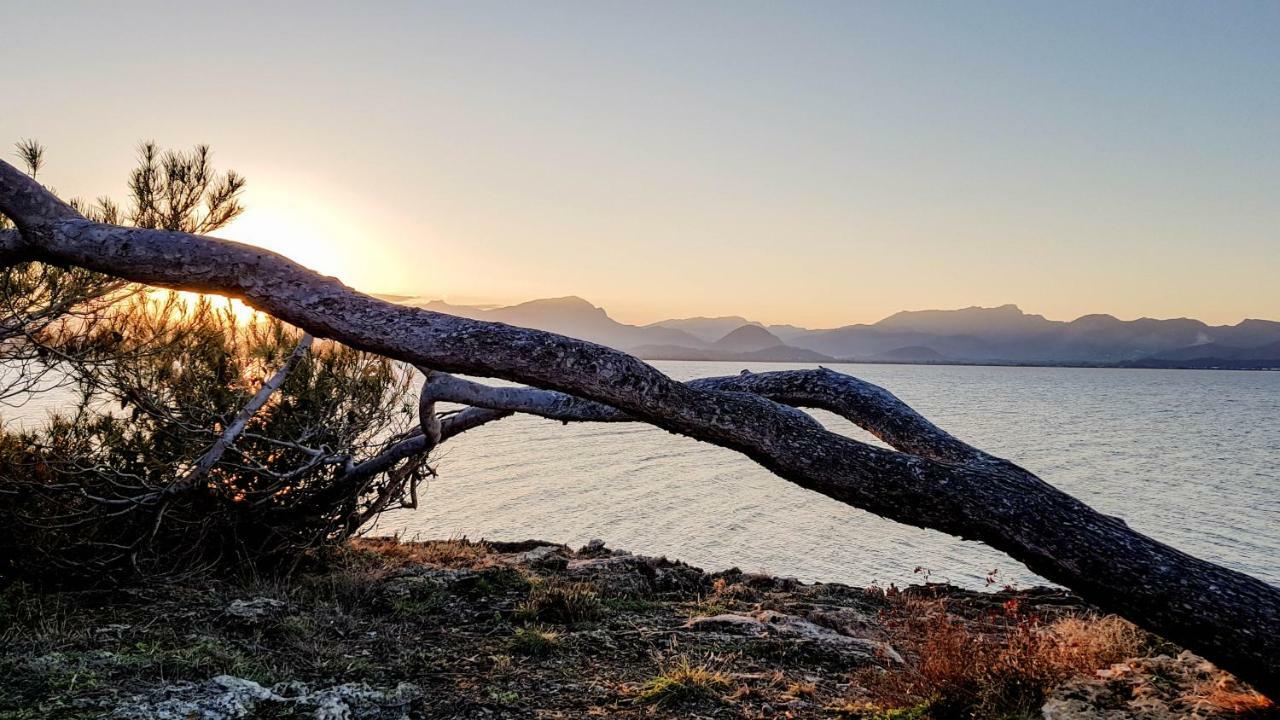 Es Fasser Alcúdia Kültér fotó